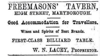 1878 Advert Avoca Mail Aug 02 p1 Capture.jpg